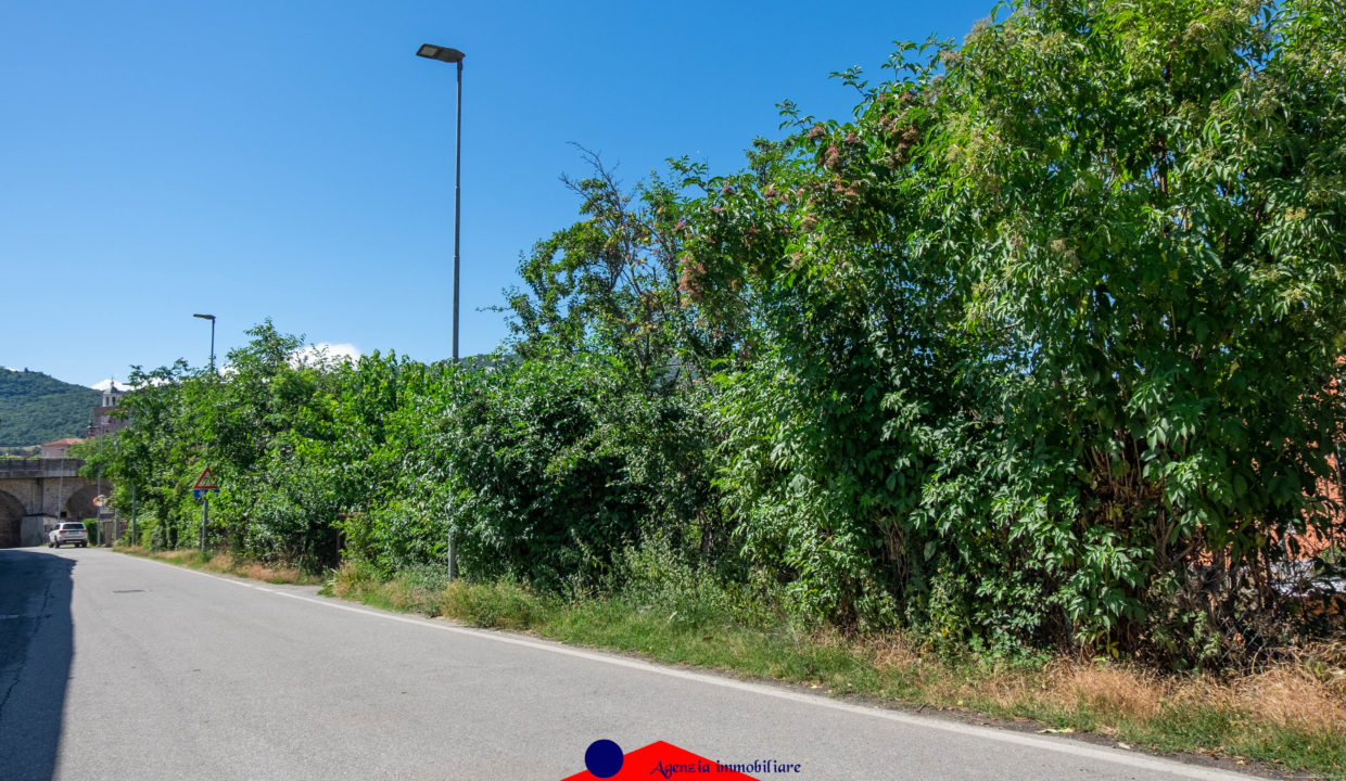 DSCF3334