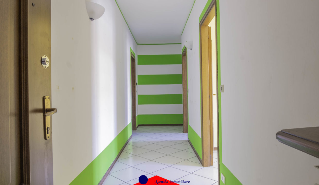 DSCF5867