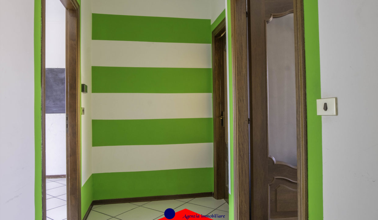 DSCF5872