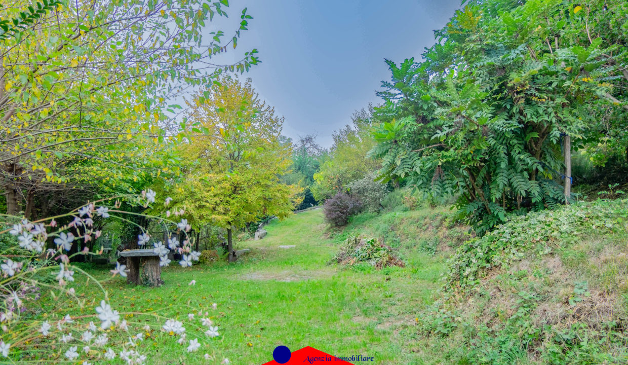 DSCF8762