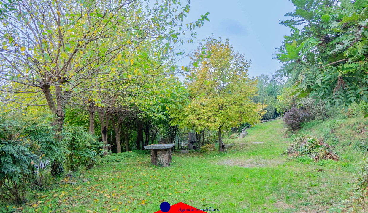 DSCF8763