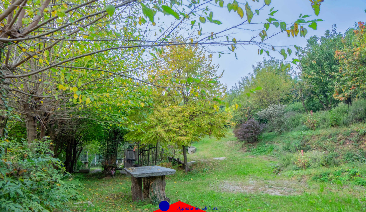 DSCF8764
