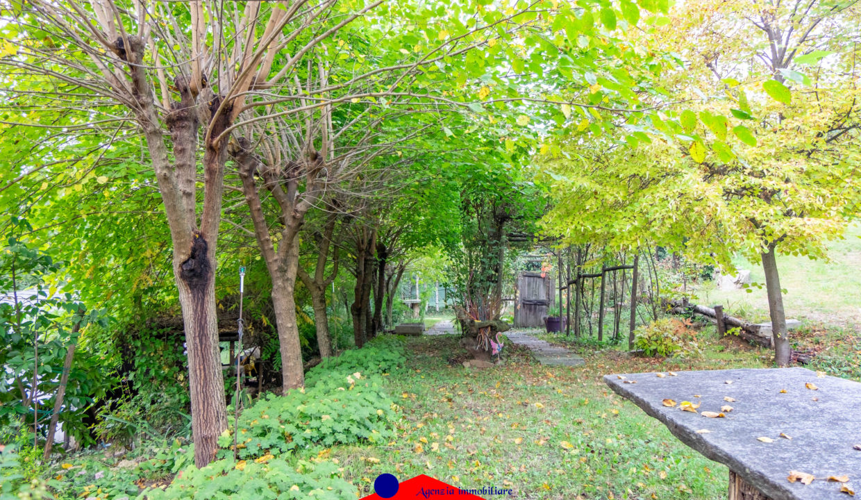 DSCF8765