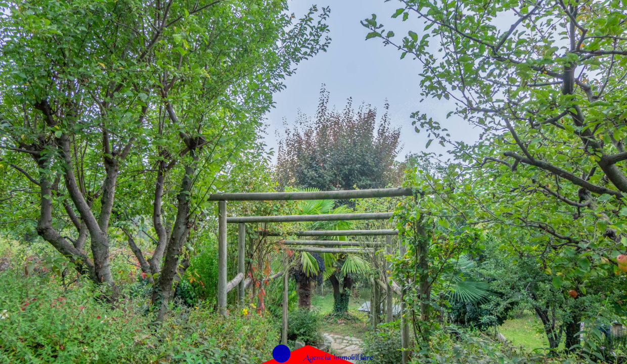 DSCF8783