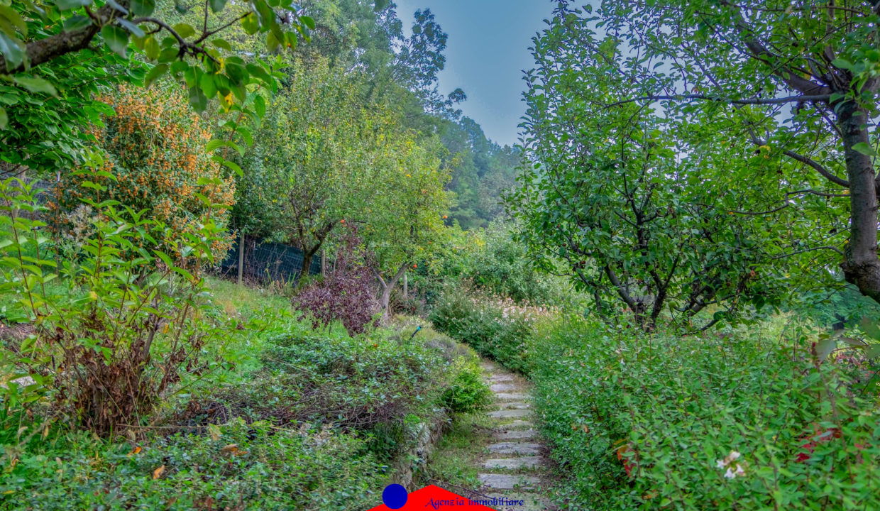 DSCF8784