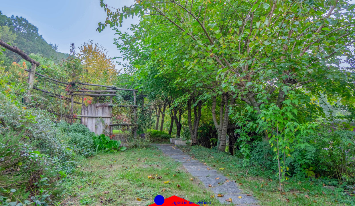 DSCF8791