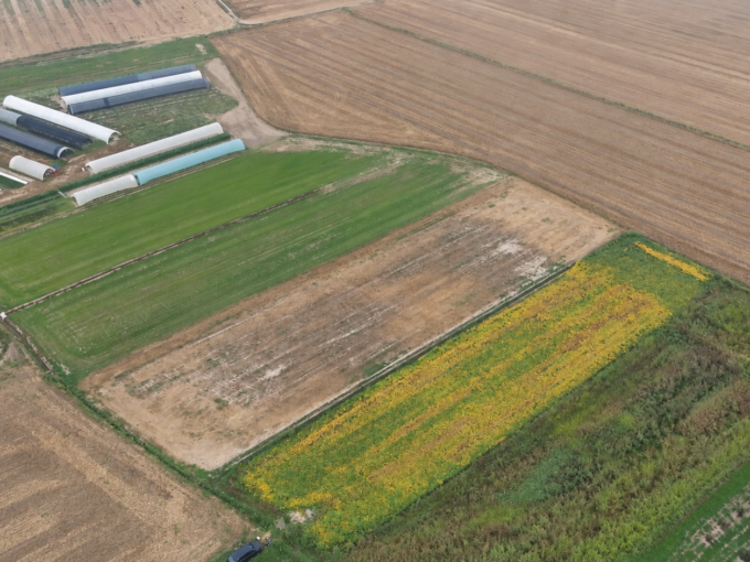 VILLAFALLETTO – FRAZIONE MONSOLA | TERRENO AGRICOLO IRRIGUO