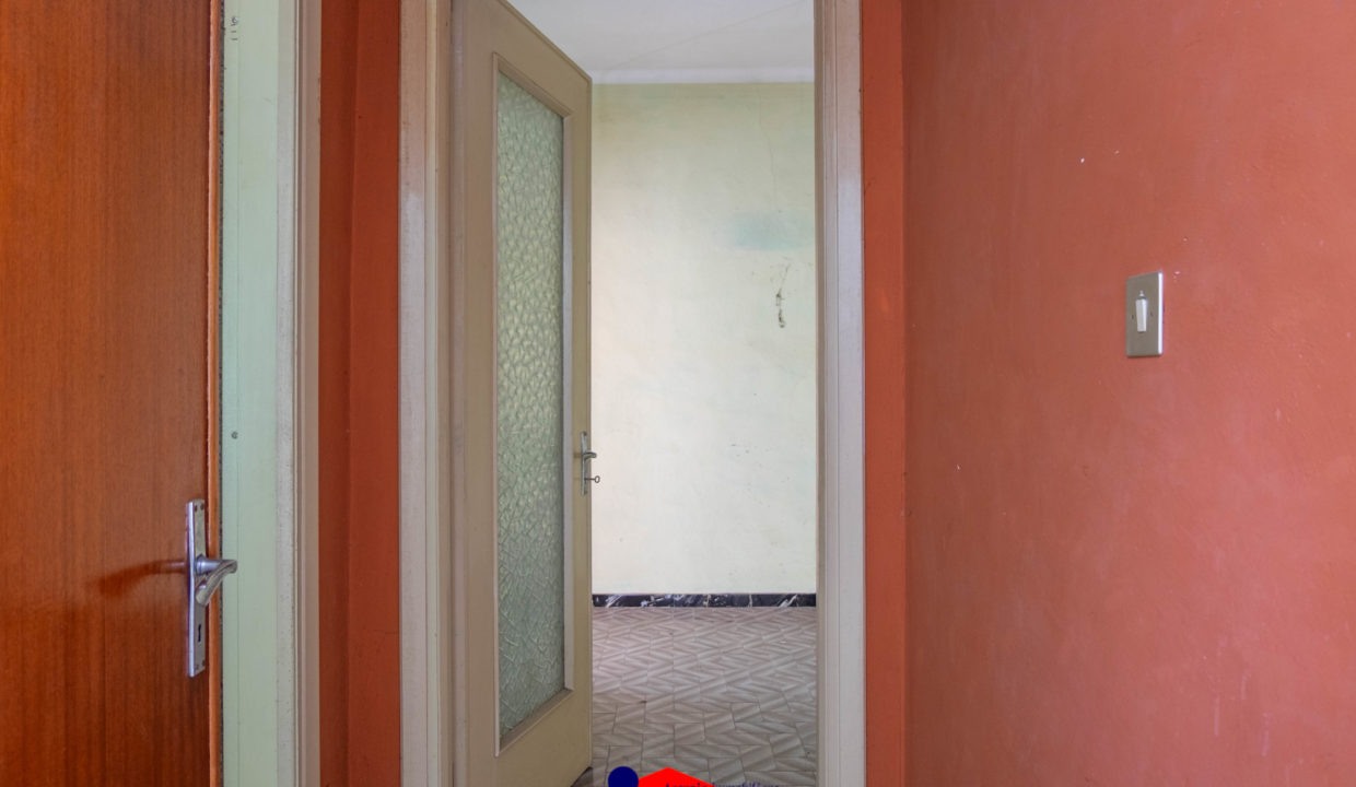 DSCF0149